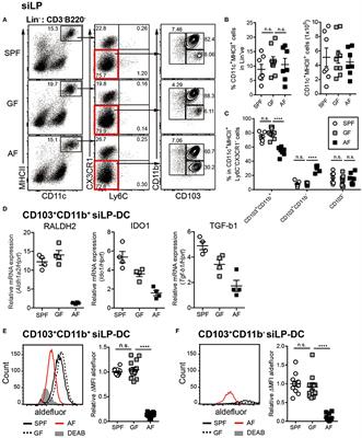 Dietary Glucose Consumption Promotes RALDH Activity in Small Intestinal CD103+CD11b+ Dendritic Cells